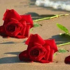 Meet your Posher, Pat